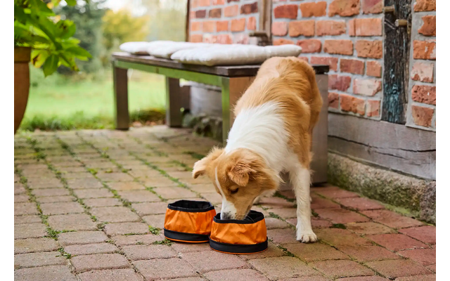 Wolters Reisenapf Travel Duo für Hunde 15 cm