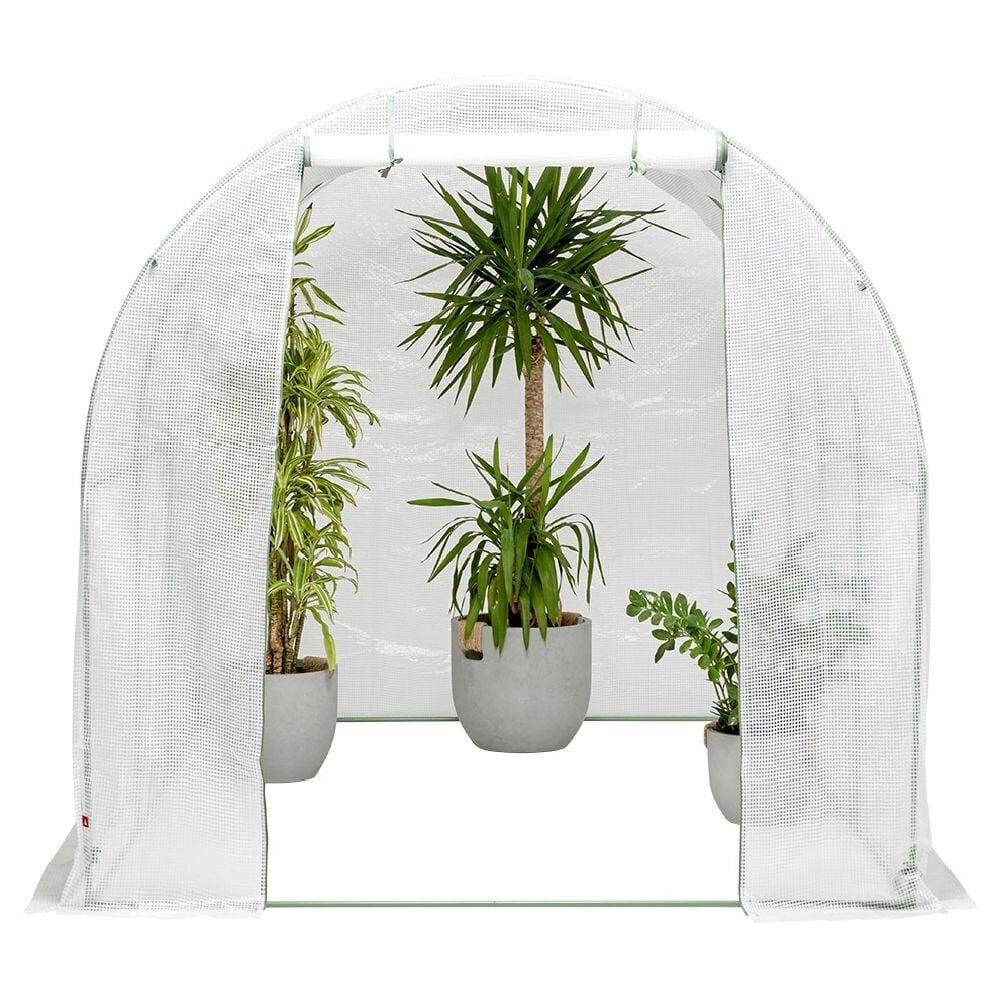 Serre tunnel 6m² - 300x200x200 cm