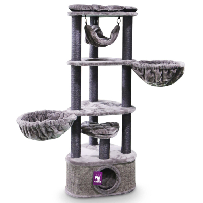 Petrebels Katzenbaum Kings & Queens Catharina 160 cappuccino