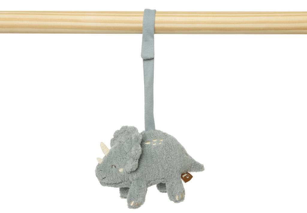 speeltjes voor de babygymRoarsome