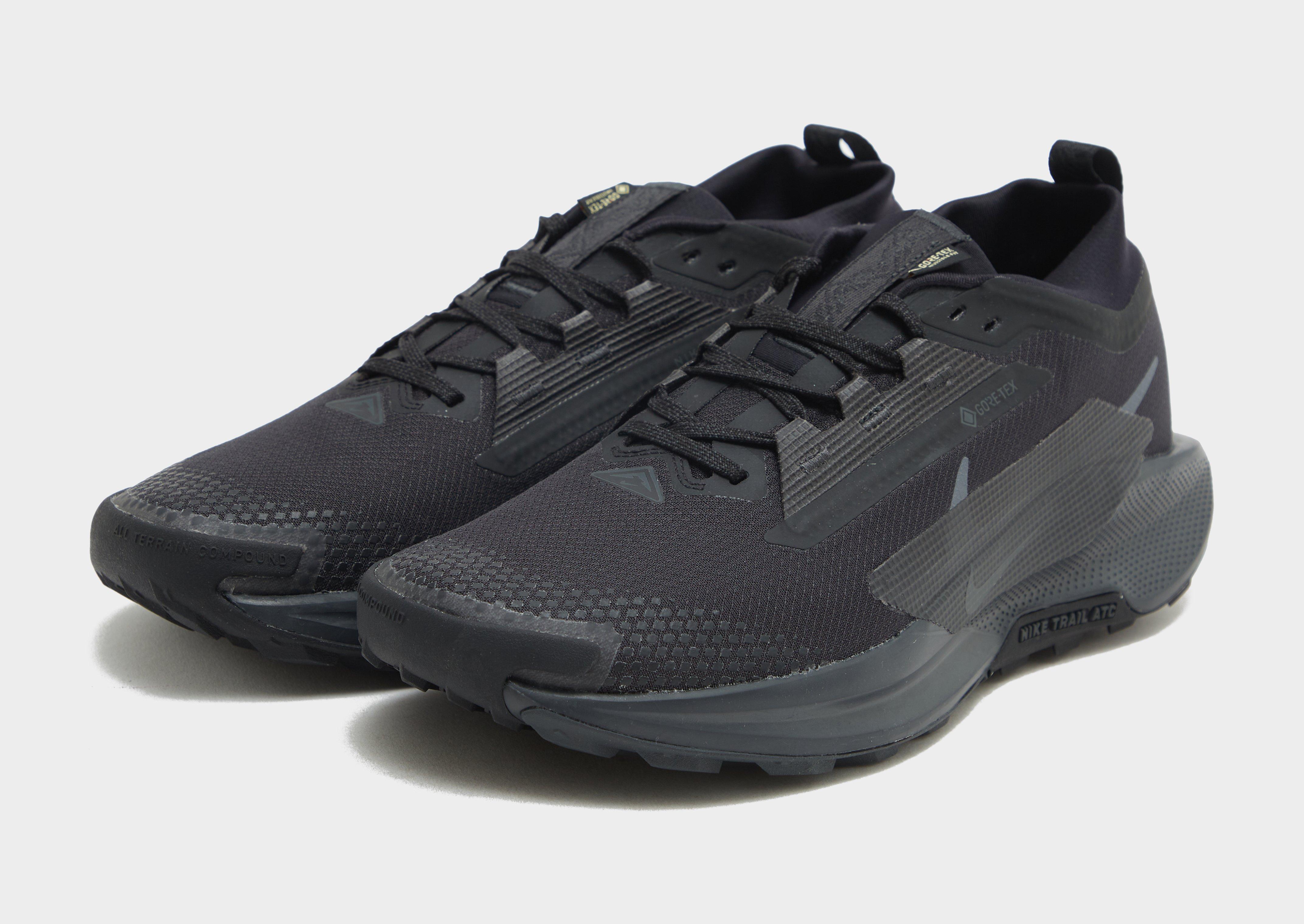 Nike Pegasus Trail 5 GORE-TEX Homme