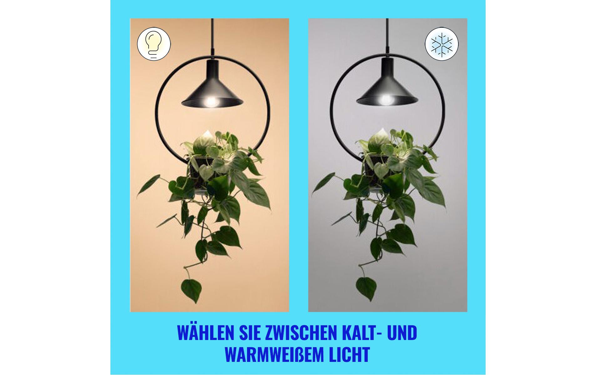 E27 Tunable White Ultra-Efficient Clear WiFiSmartes Leuchtmittel, steuerbar über Bluetooth, Matter, WLAN