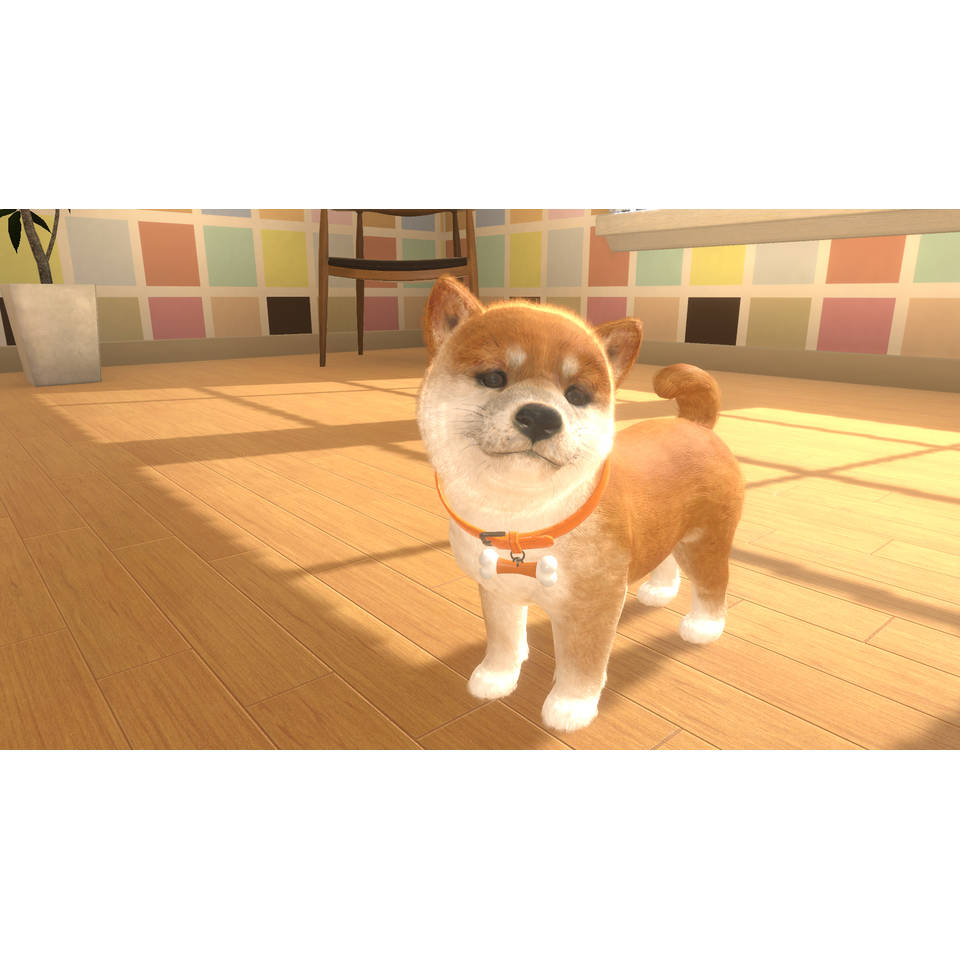 Little Friends Dogs & Cats - code in a box Nintendo Switch