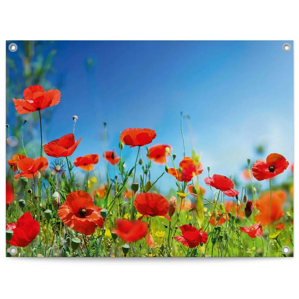 Tuinposter Zomerbloemen - 60x80cm - Rood