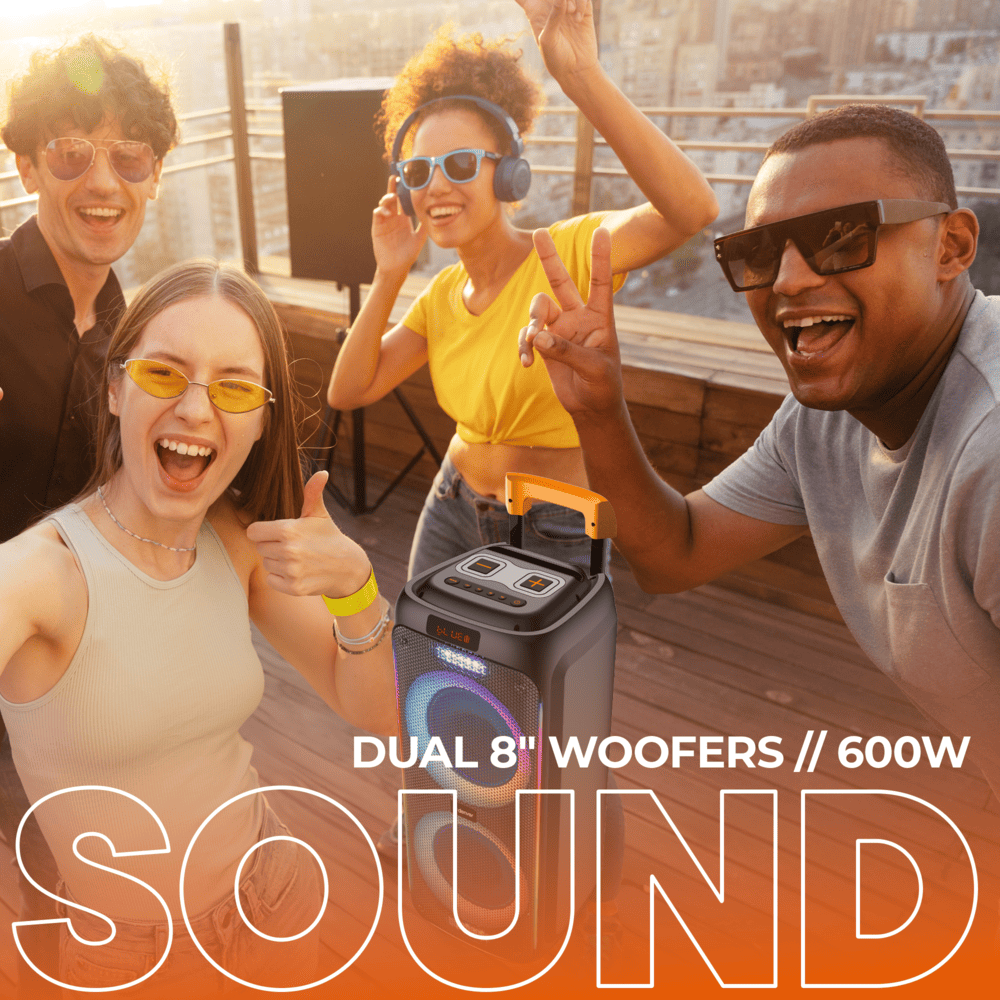 Denver TSP456 Bluetooth partyspeaker met karaokemicrofoon