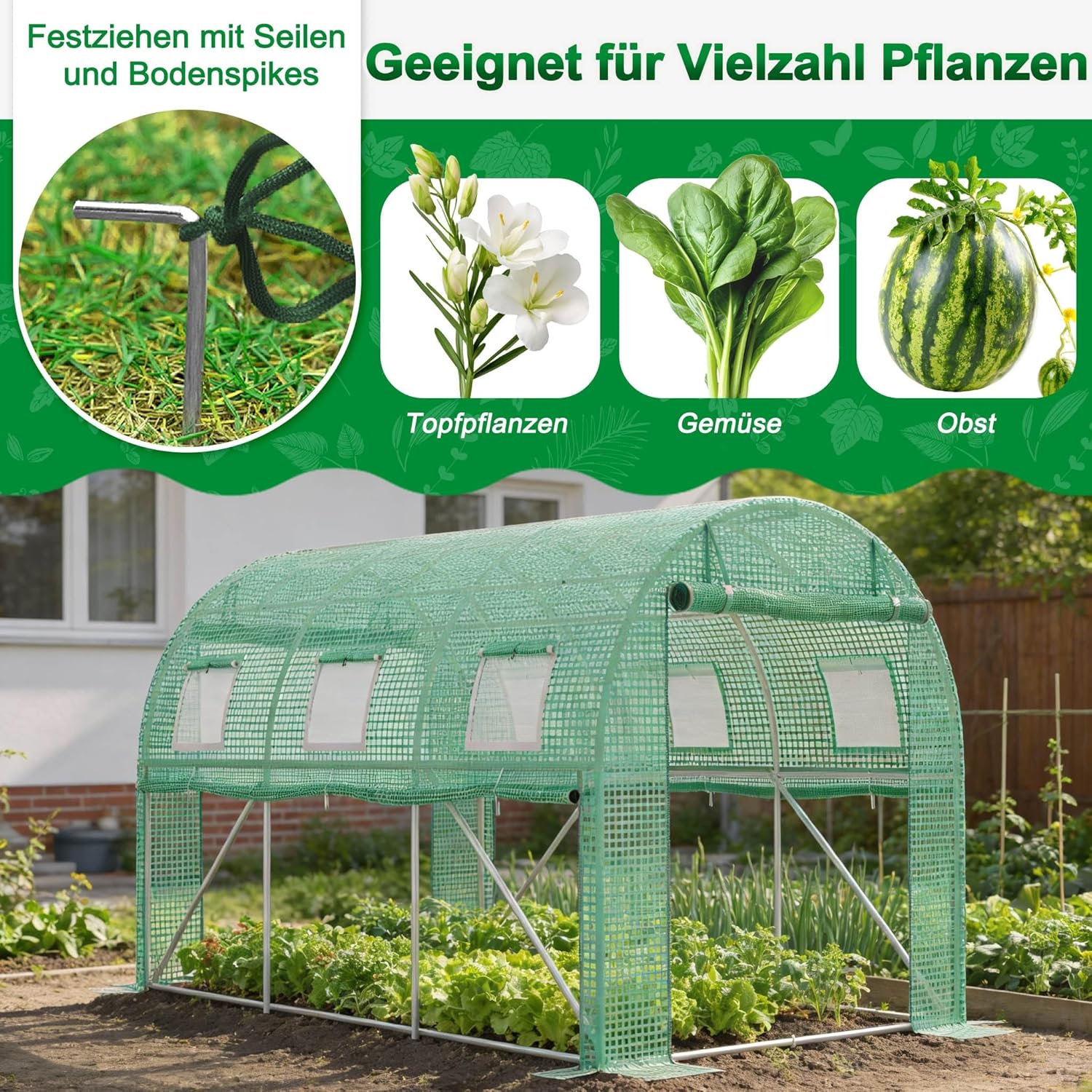 Gewächshaus 3x8 m (24 m²) – Garten Foliengewächshaus mit 16 Fenstern, UV-beständig, verzinkter Stahlrahmen, Moskitonetz, ideal für Gemüse, Tomaten, Blumen, Tomatenhaus, grün