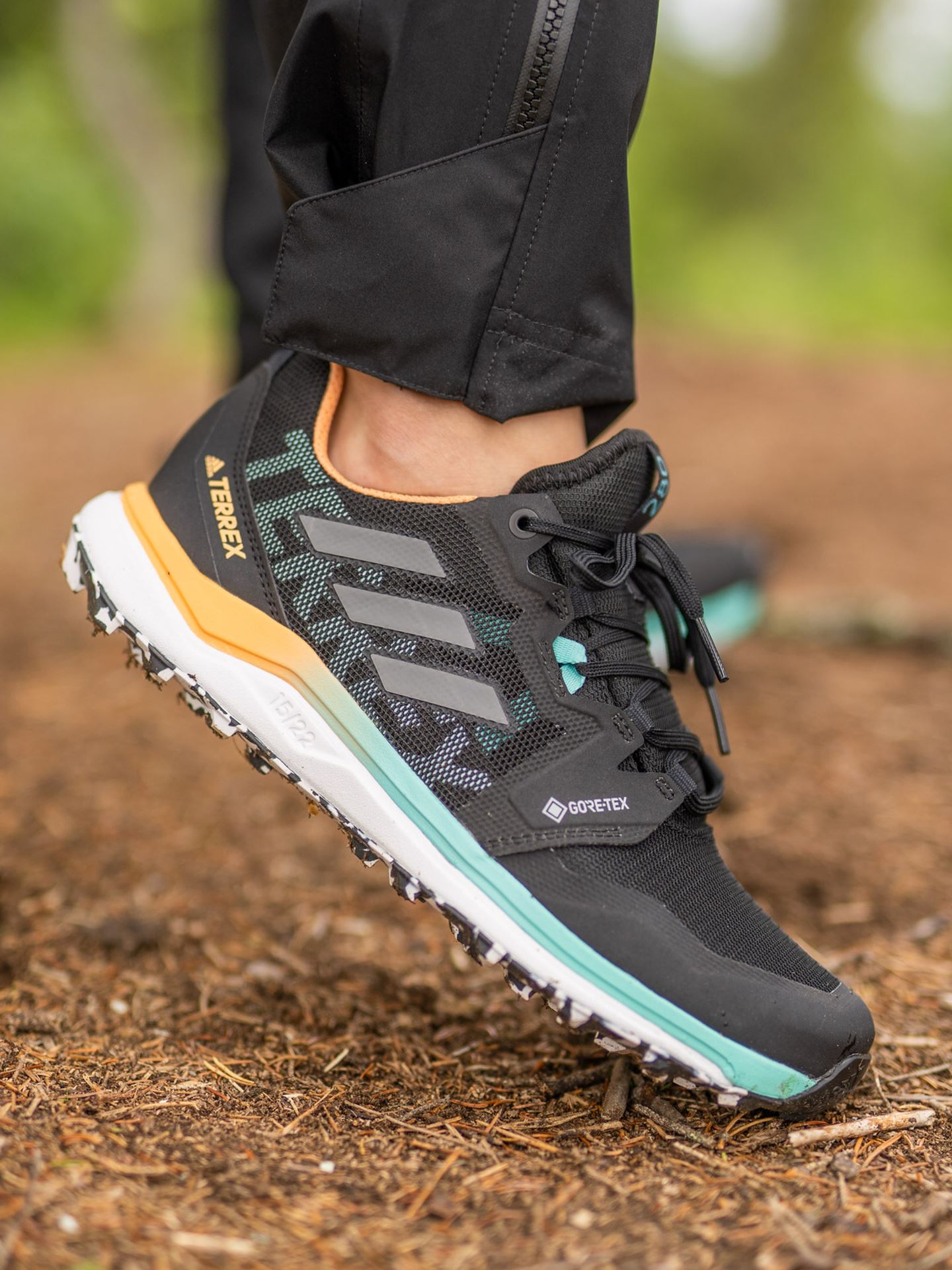 Terrex Agravic GTX Trail