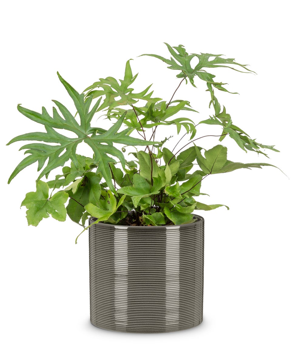 Scheurich keramische bloempot, kleur: Glass Grey, 23 cm diameter, 21 cm hoog, 7,4 l inhoud.