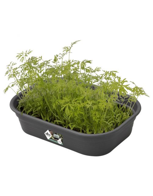 Elho Green Basics Kweektray Zwart - Kweekbenodigdheden