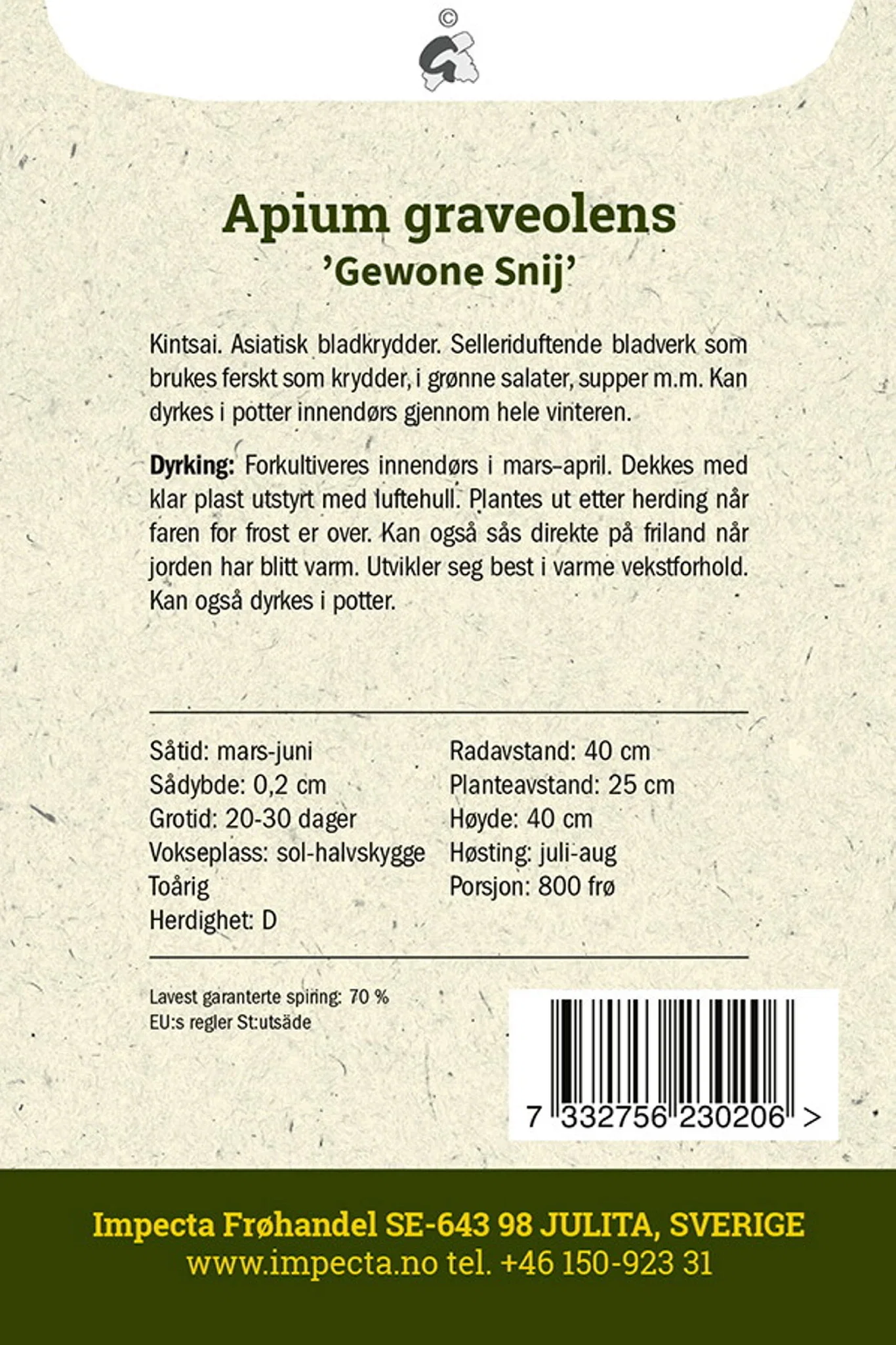 Apium graveolens 'Gewone Snij' Kinesisk bladselleri 'Gewone Snij'