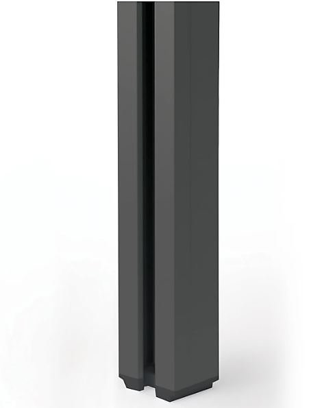 Coulisse pour store extérieur anthracite 195 cm Protecta