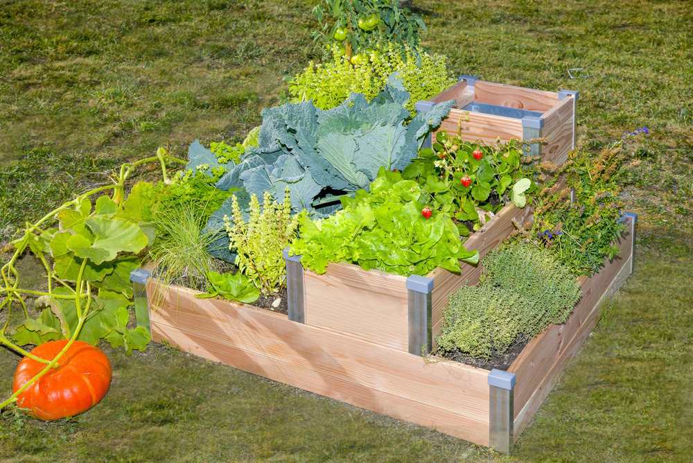 Potager Composteur - l100 x l95 x h54