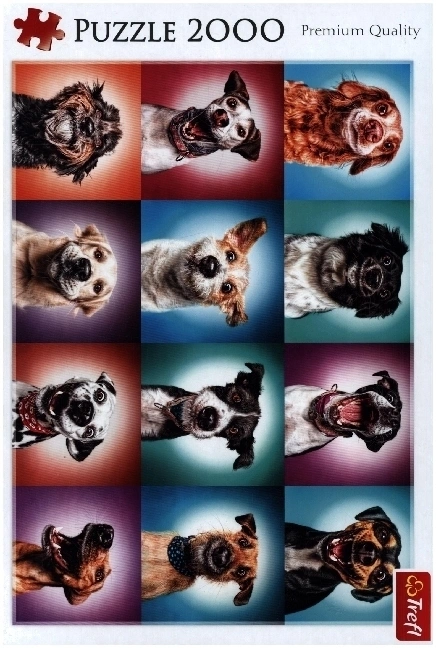 Lustige Hunde Porträts (Puzzle)