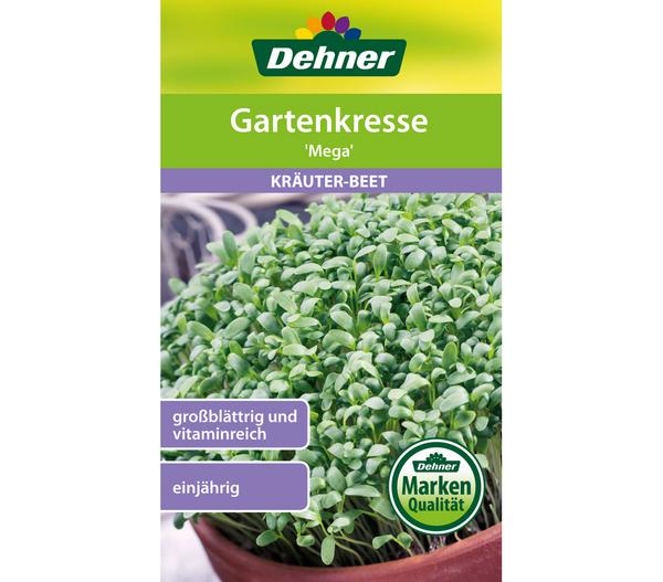 Dehner Samen Gartenkresse 'Mega'