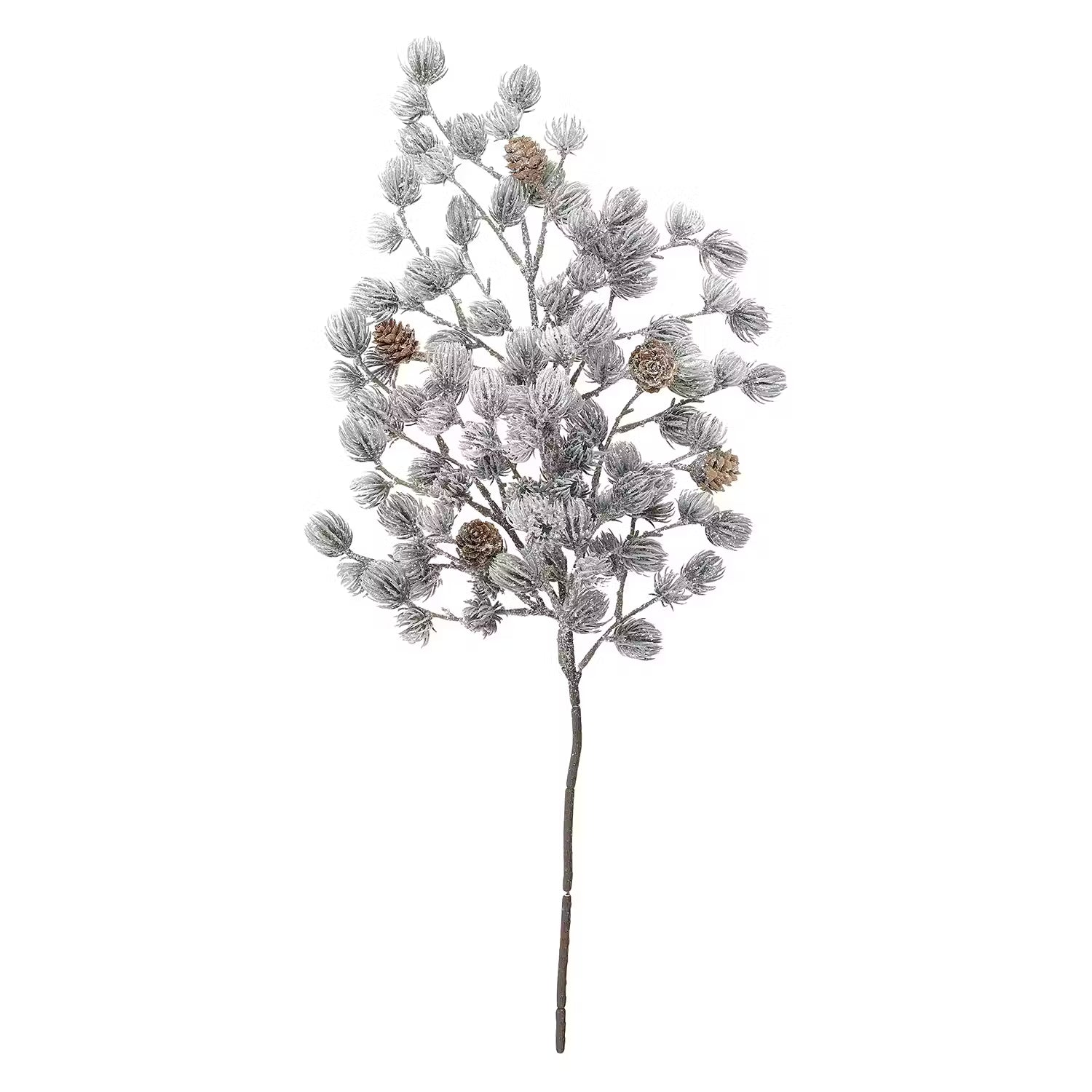 WINTERGREEN Pinienzweig