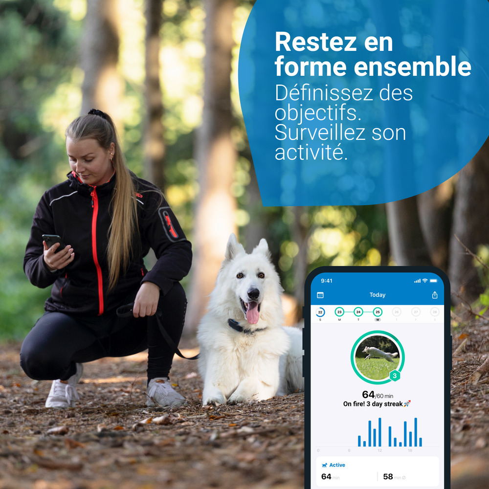 Tractive GPS DOG 4 - collier GPS pour chien avec suivi d'activité - Bleu nuit
