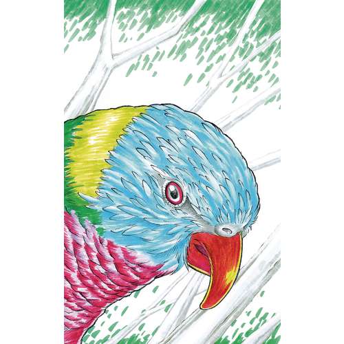 FABER-CASTELL PITT Artist Pen B Tuschemarker, einzeln