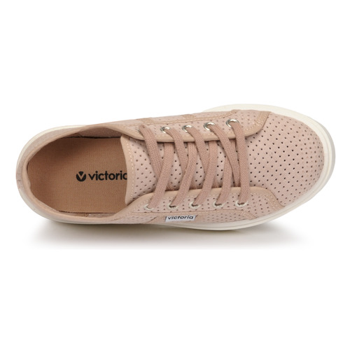 Victoria -  - Rose