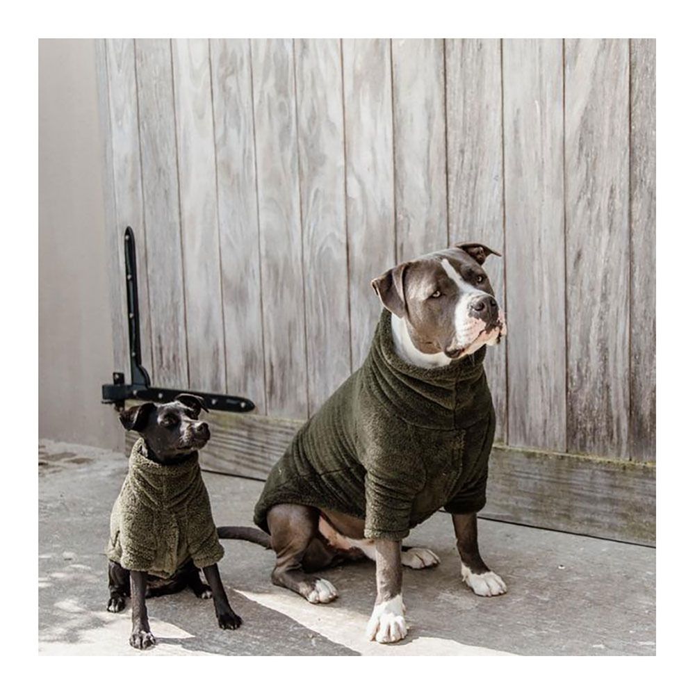 Kentucky TEDDY FLEECE - Pull pour chien vert sapin