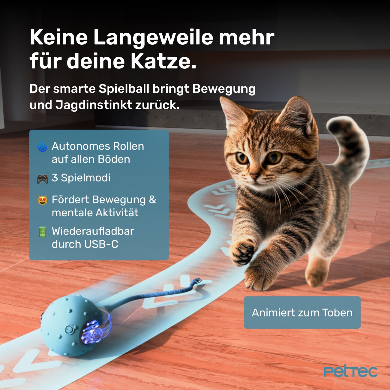 PetTec Interactive Toy Ball 1