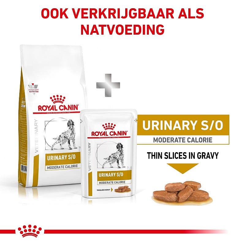 Royal Canin Urinary SO Moderate Calorie Hond Dieetvoeding ter ondersteuning van de urinewegen bij honden met neiging tot overgewicht of na castratie/ sterilisatie