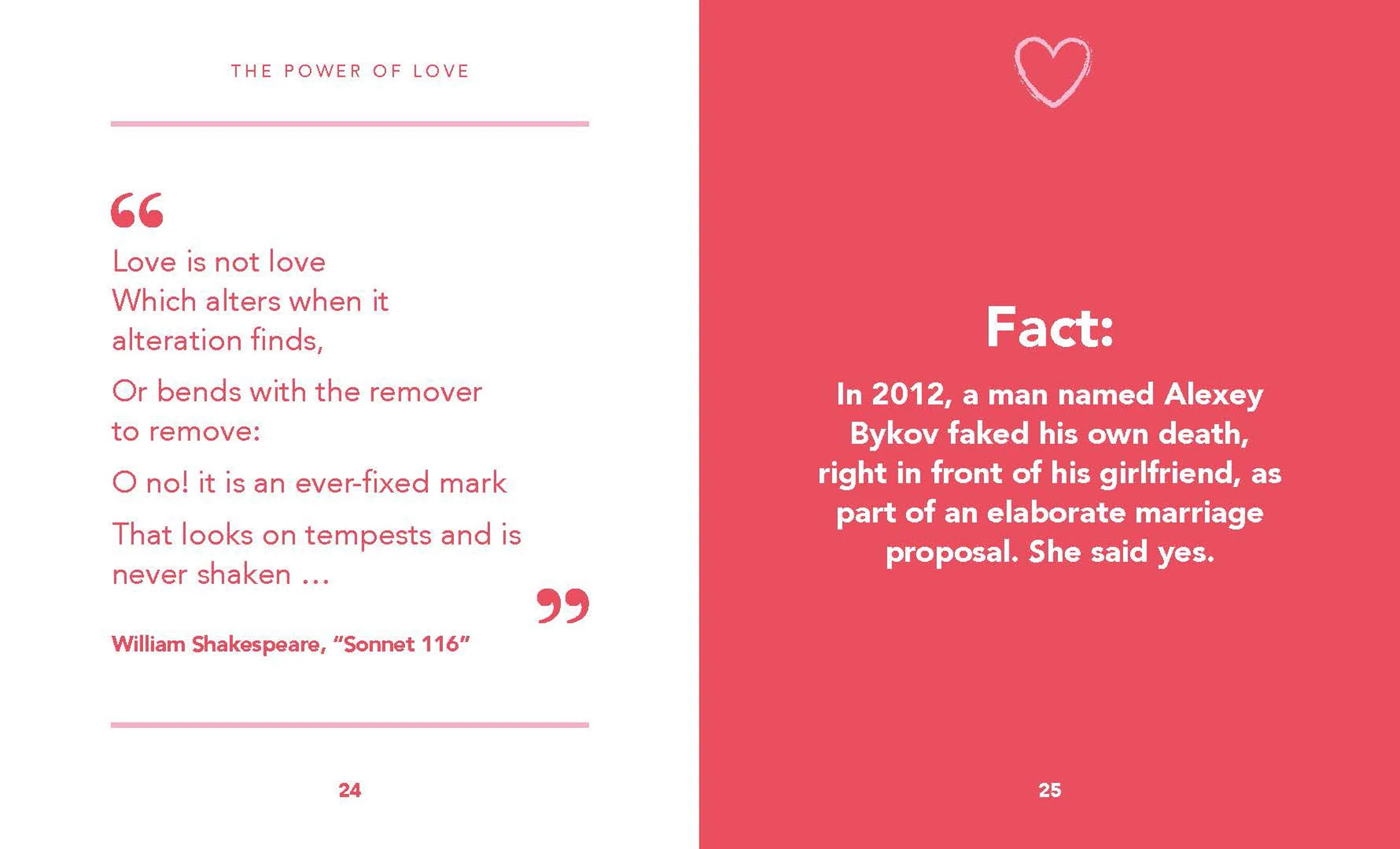 New Mags  The Little Book Of Love bog