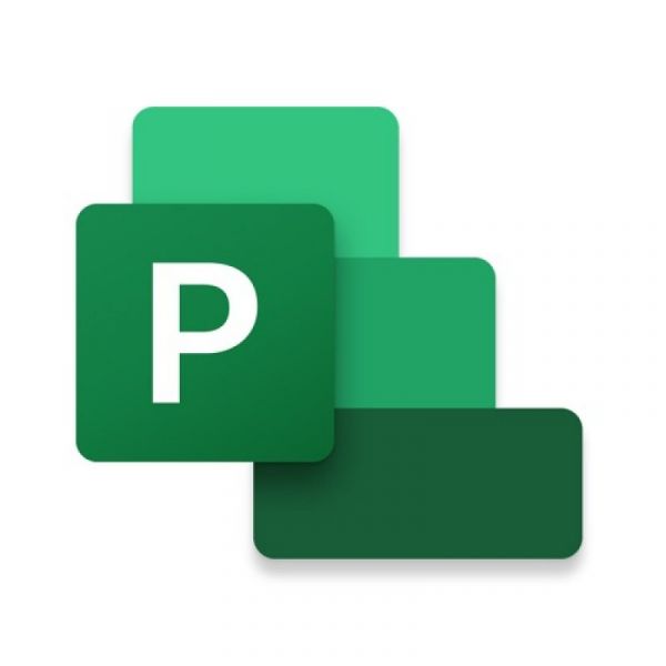 Microsoft Licença Esd em Project Professional 2021 Win All Languages Pk Lic Online Dwnld C2R Nr