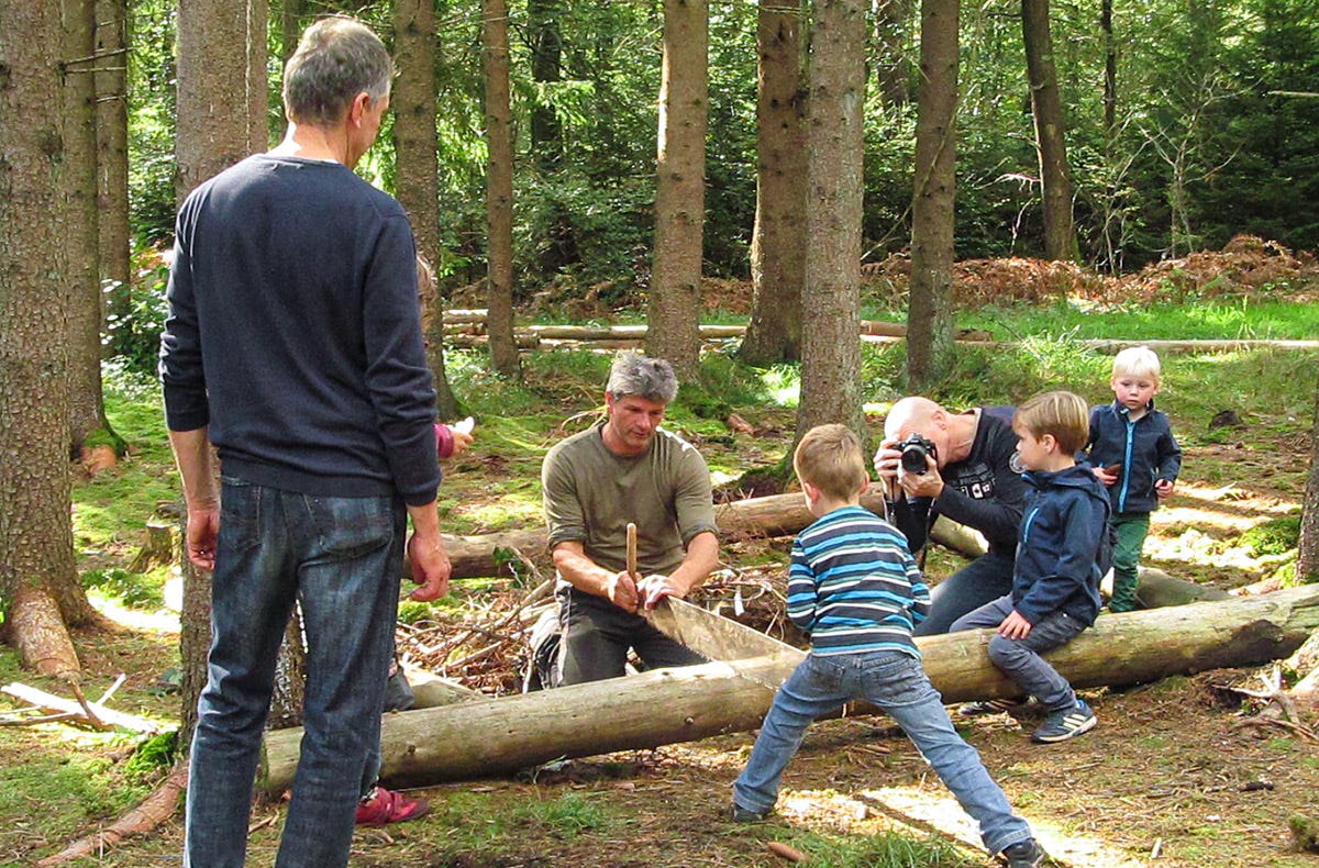 Holzrücken mit Pferden Windeck