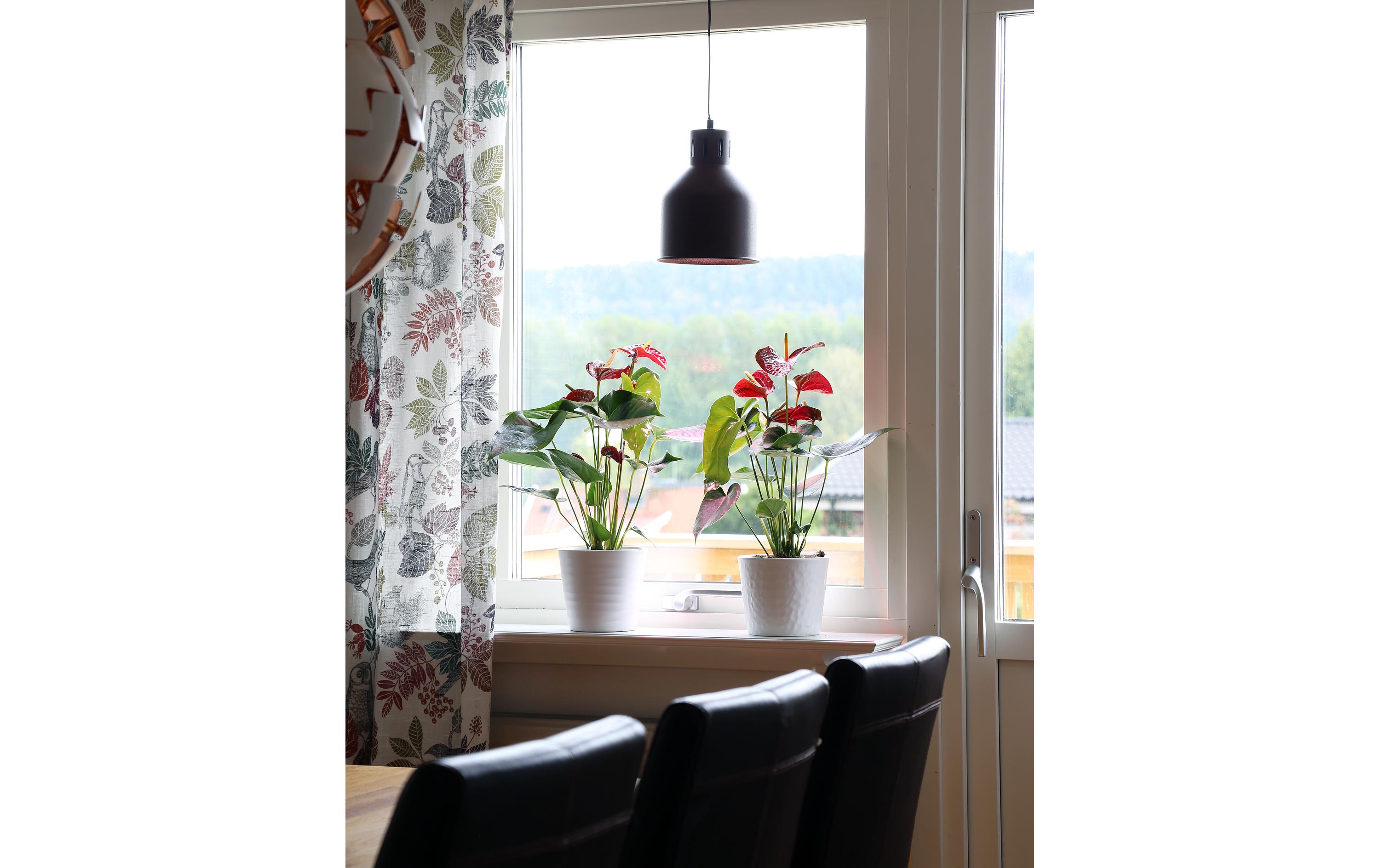 Lampenschirm Saga E27, KupferSchirm für LED-Pflanzenlampen