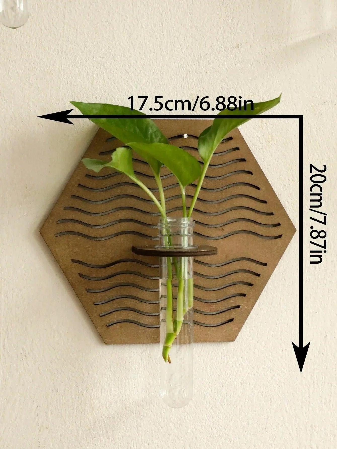 Modern Boho Wood Wall Mounted Hanging Vase | Hydroponic Transparent Glass Tube Plant Holder
