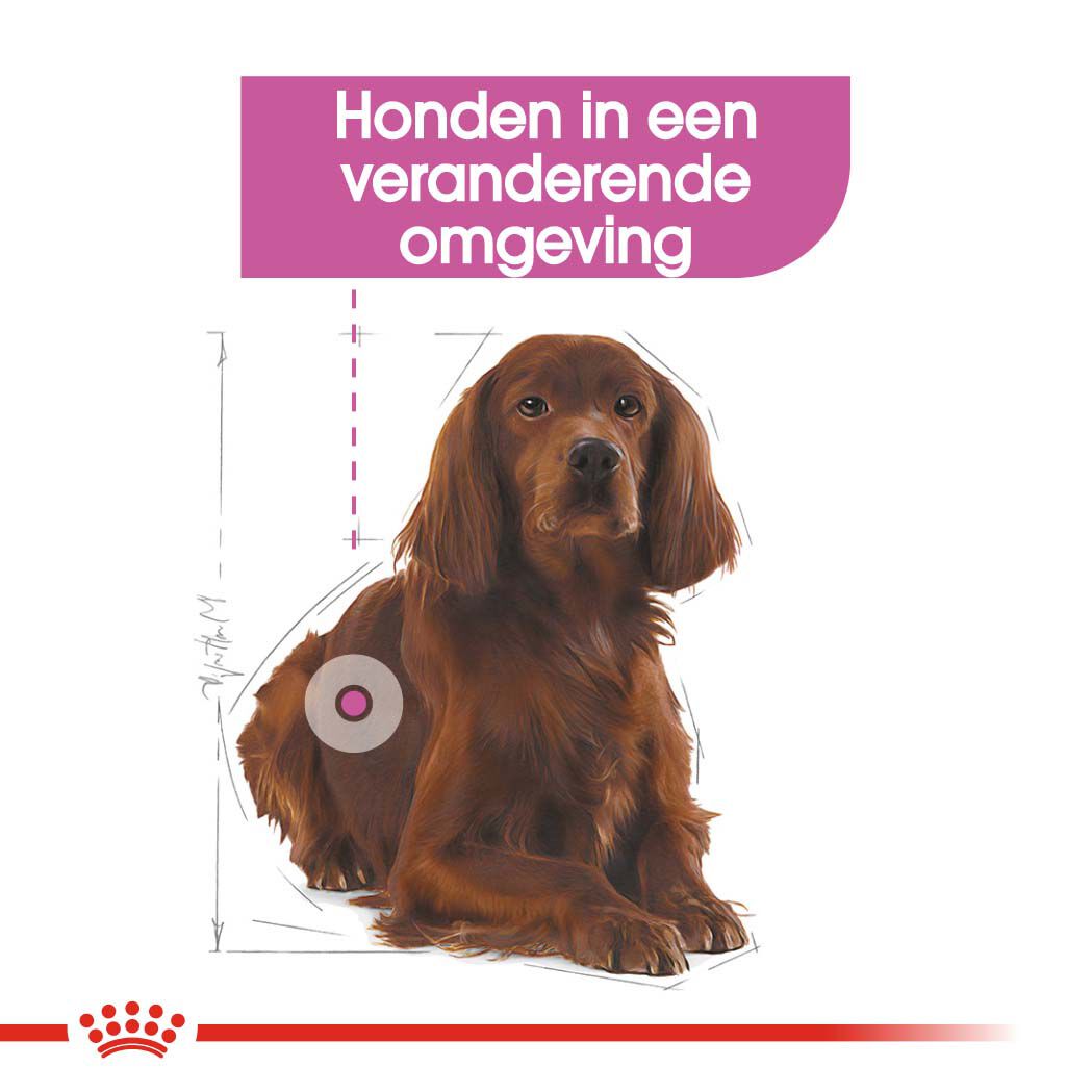Royal Canin Relax Care Medium - Hondenvoer - 10 Kilogram - gevogelte
