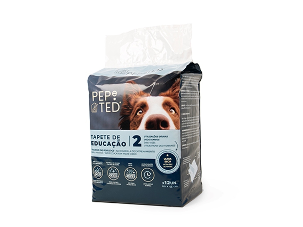 TAPETE DE EDUCAÇÃO PEPE TED 60X45CM PACK 12 UNIDADES