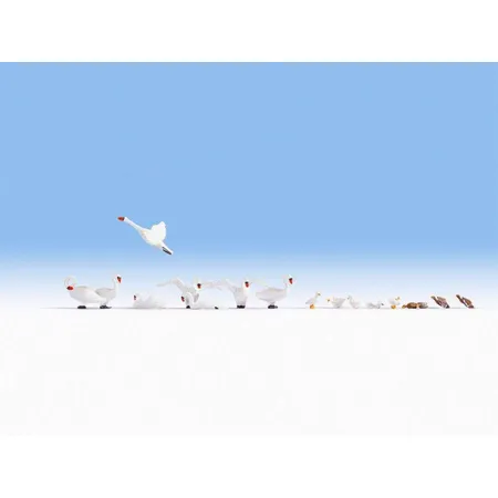 NOCH Schwäne und Enten, 16 Stück
