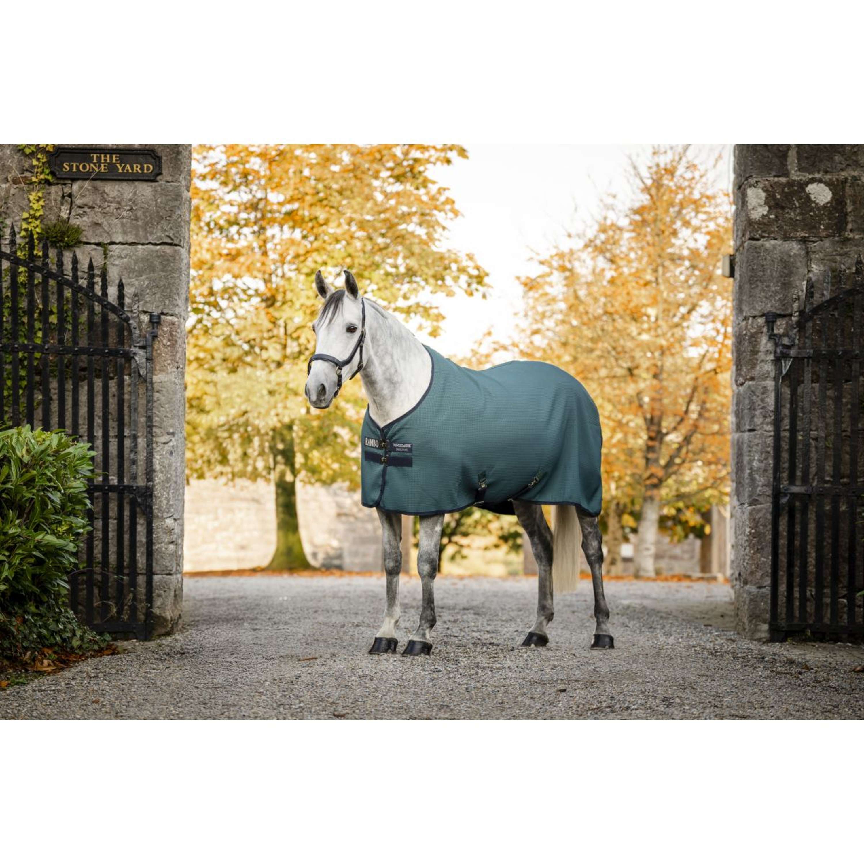 Rambo Waffle Cooler Techni Dynasty Green/Navy/Silver