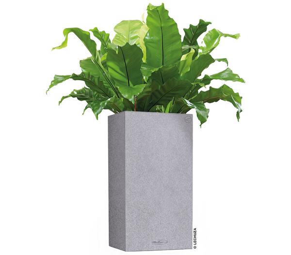 LECHUZA® Kunststoff-Topf Canto Stone,