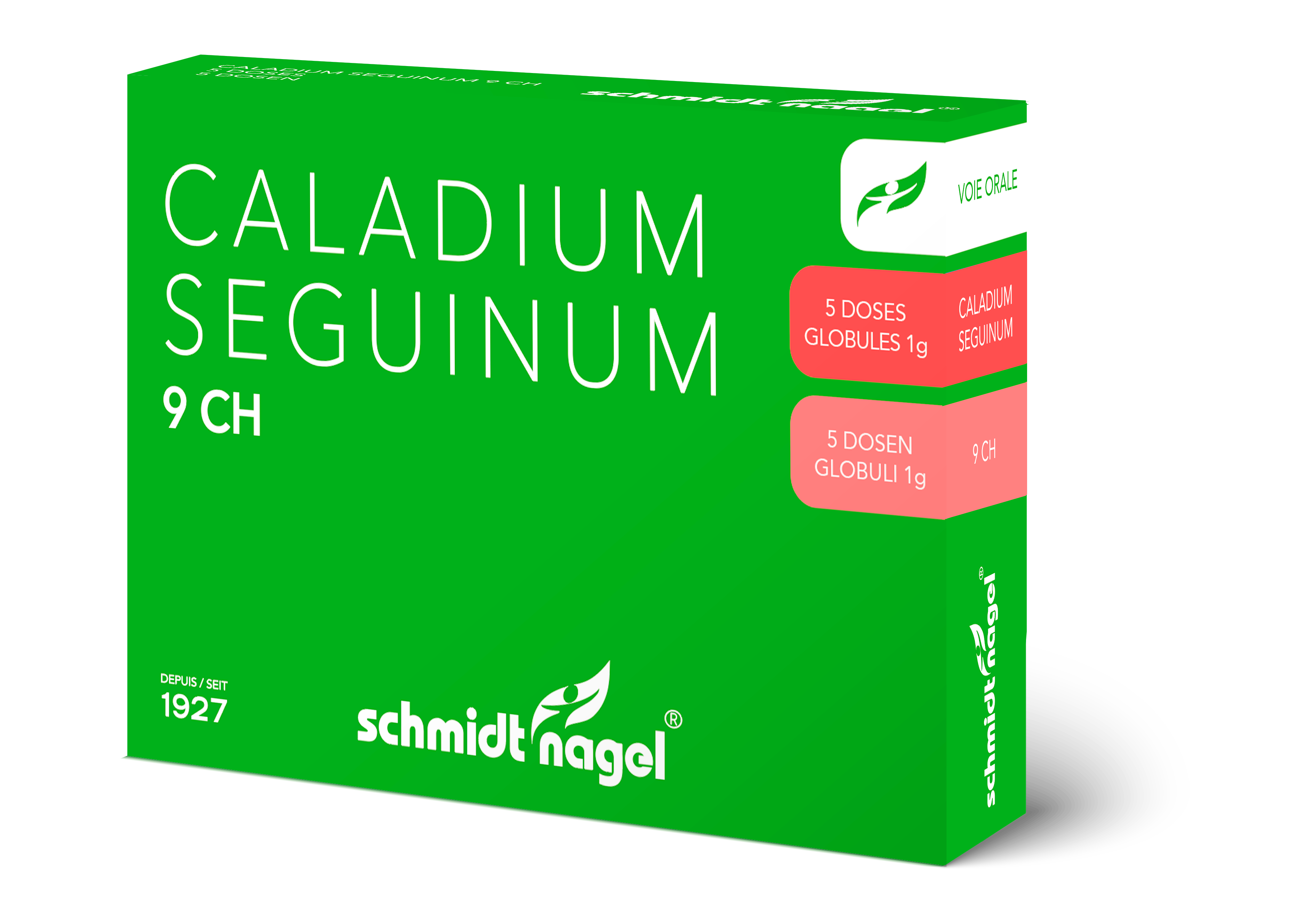 SCHMIDT-NAGEL Caladium seguinum Glob 9 CH 1 g