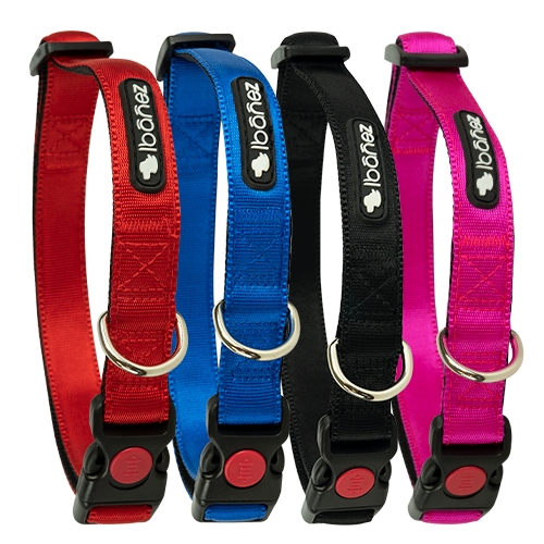 Coleiras de nylon sedoso COLEIRA SEDOSA - AZUL TAMANHO G