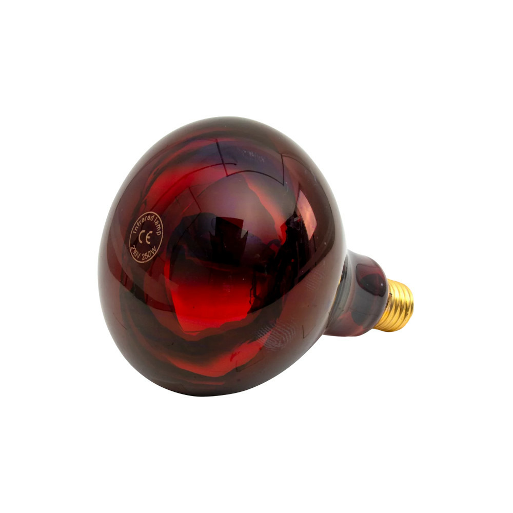 Ampoule infrarouge ir 250 w rouge