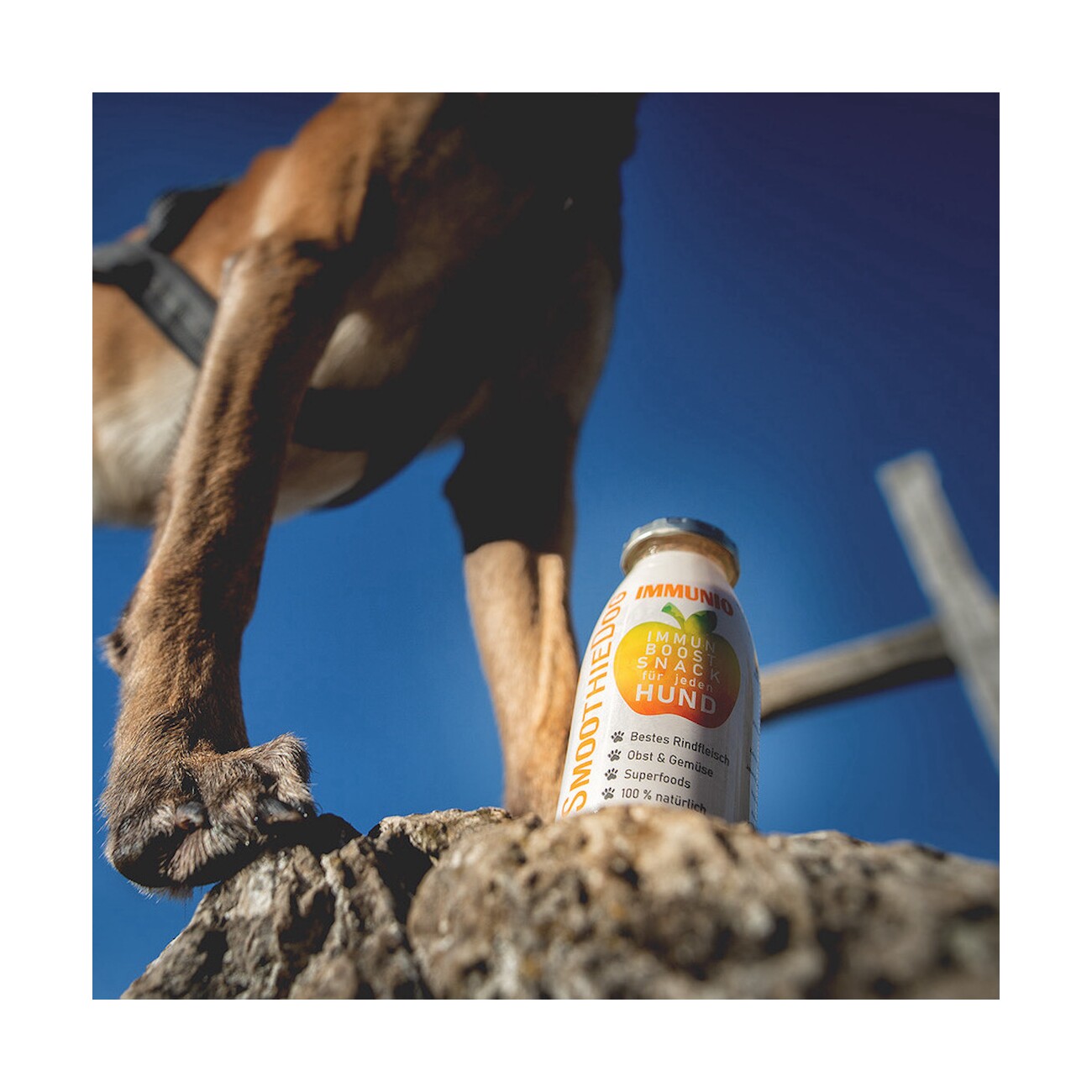 SmoothieDog Sensitivo 3x 250 ml + Immunio 3x 250 ml