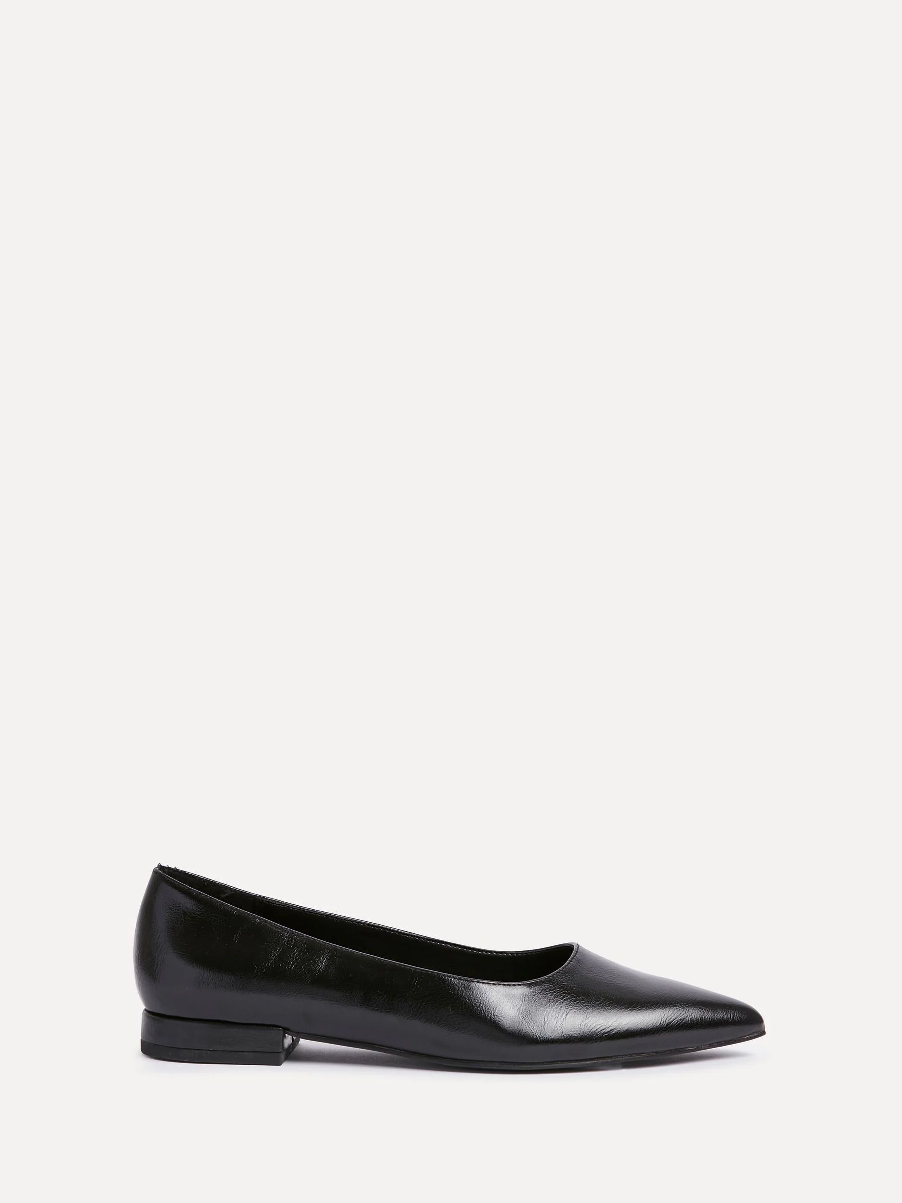 Zwart - Linzi Wide Fit Compete Pointed Toe Ballet Flat Shoes