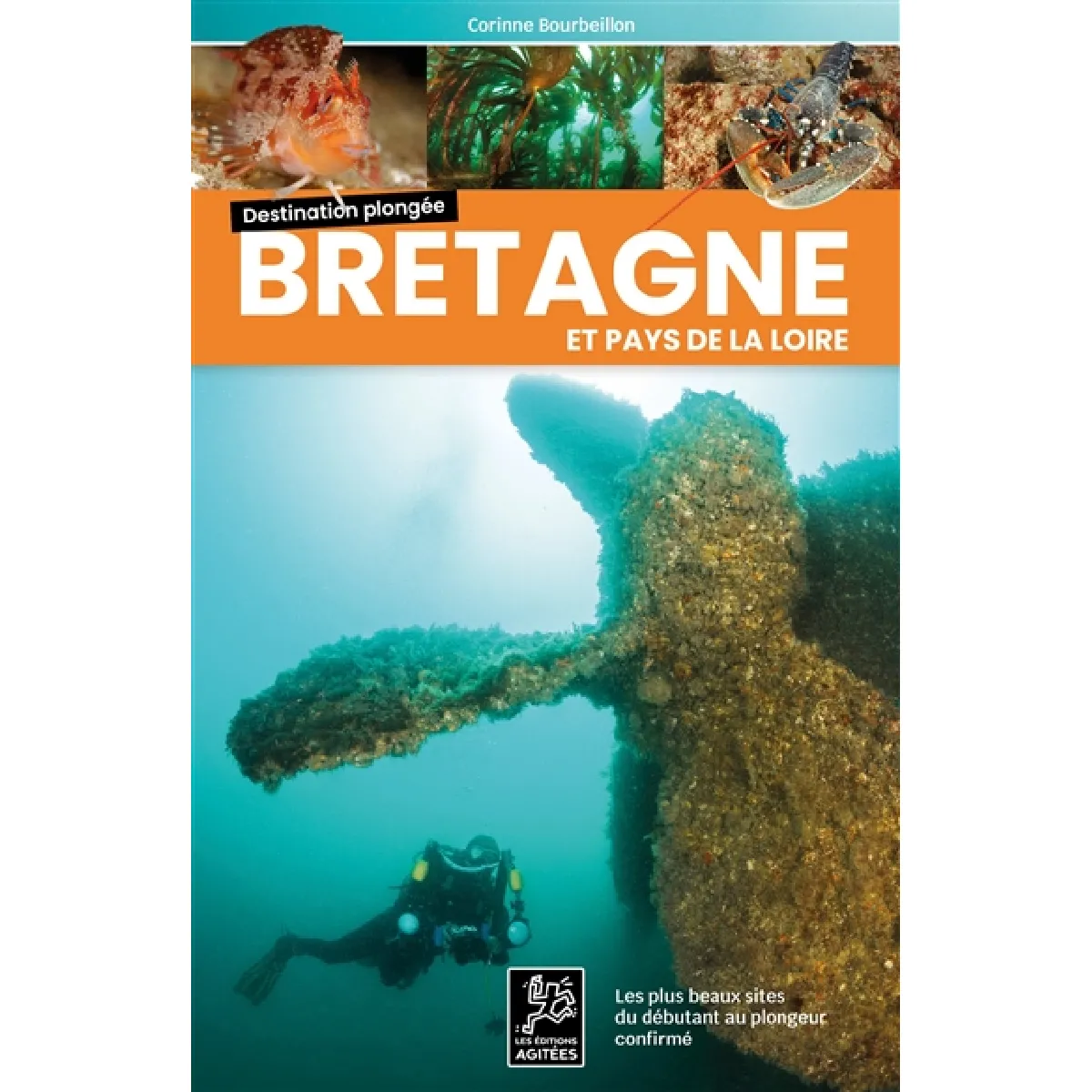 Bretagne et Pays de la Loire : les plus beaux sites du débutant au plongeur confirmé