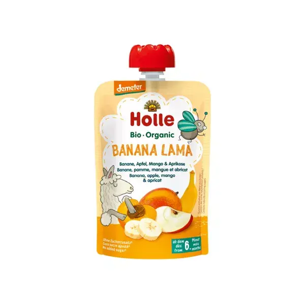 Garrafa de água Holle Organic Banana Apple Mango Apricot 6m+ 100g