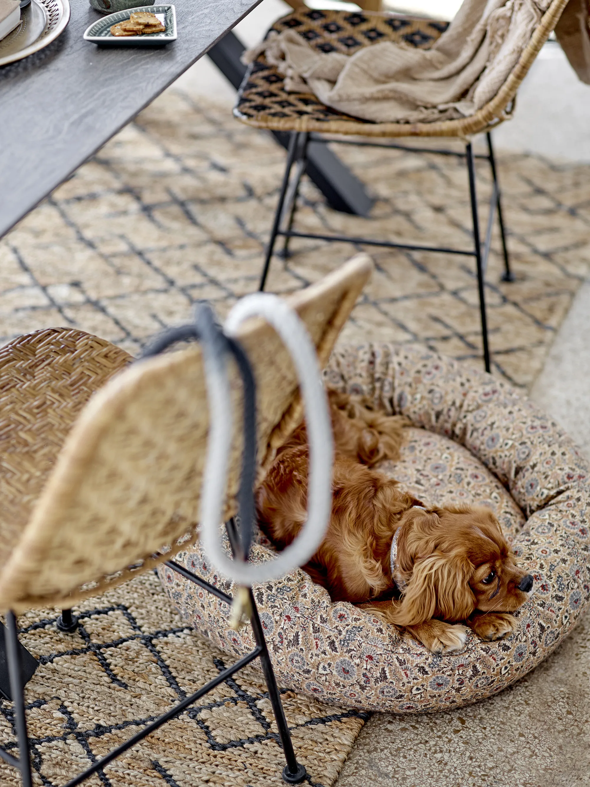 Bloomingville Ceylan Hundesnor