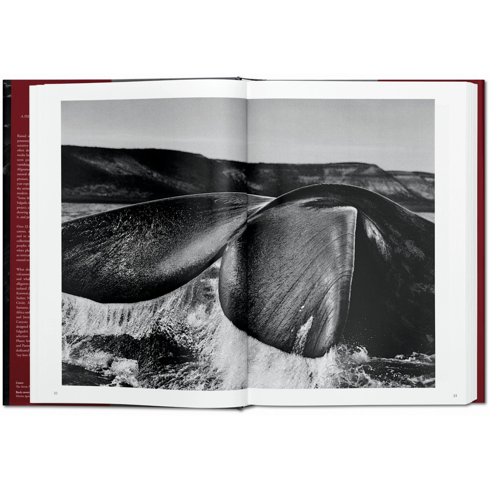 Sebastião Salgado.Genesis