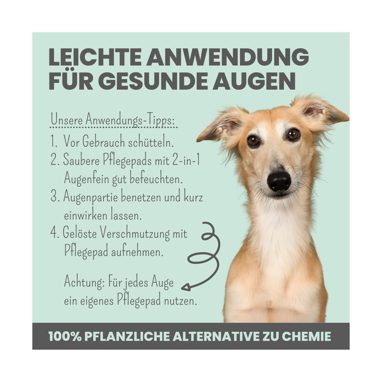 noms+ 2-in-1 Ohrfein Reinigung & Pflege für Hunde & Katzen 50ml
