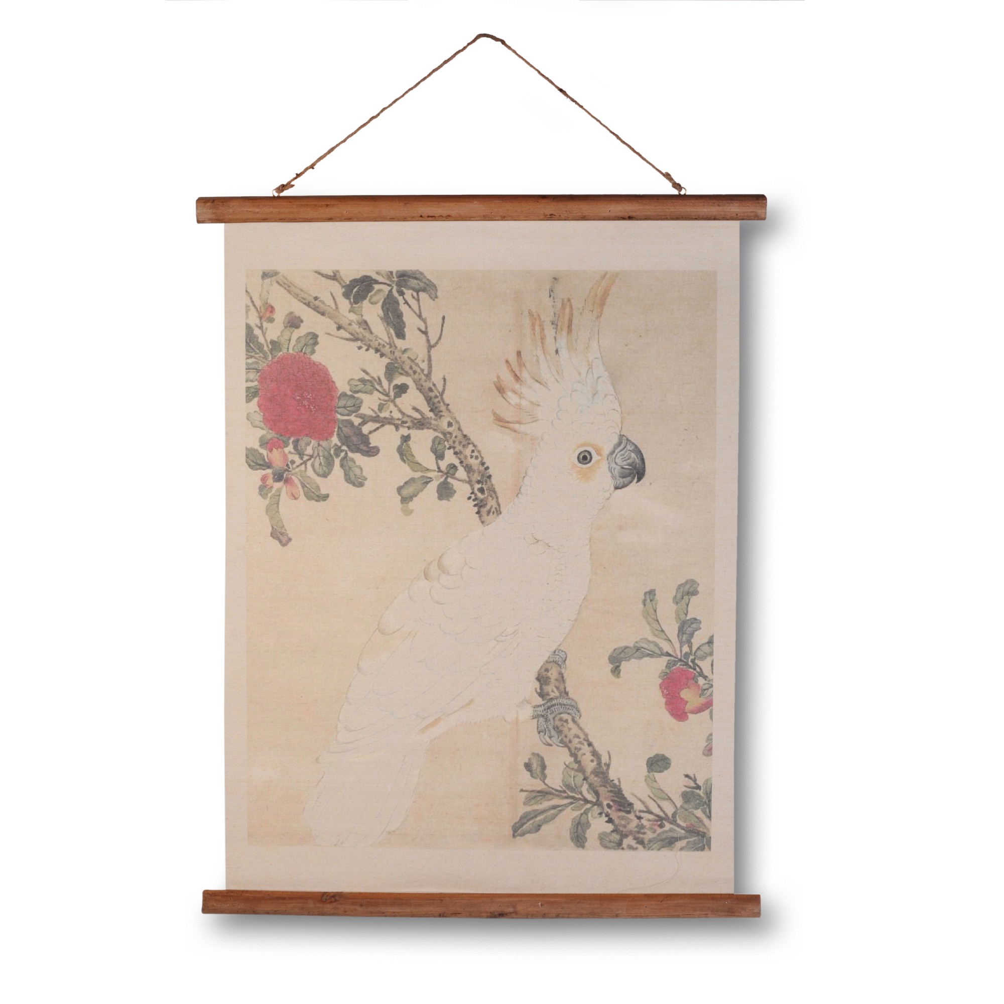 Rollbild auf Leinwand 'Parrot', multicolor, B 63 cm, H 78 cm, T 2 cm von fischer's lagerhaus
