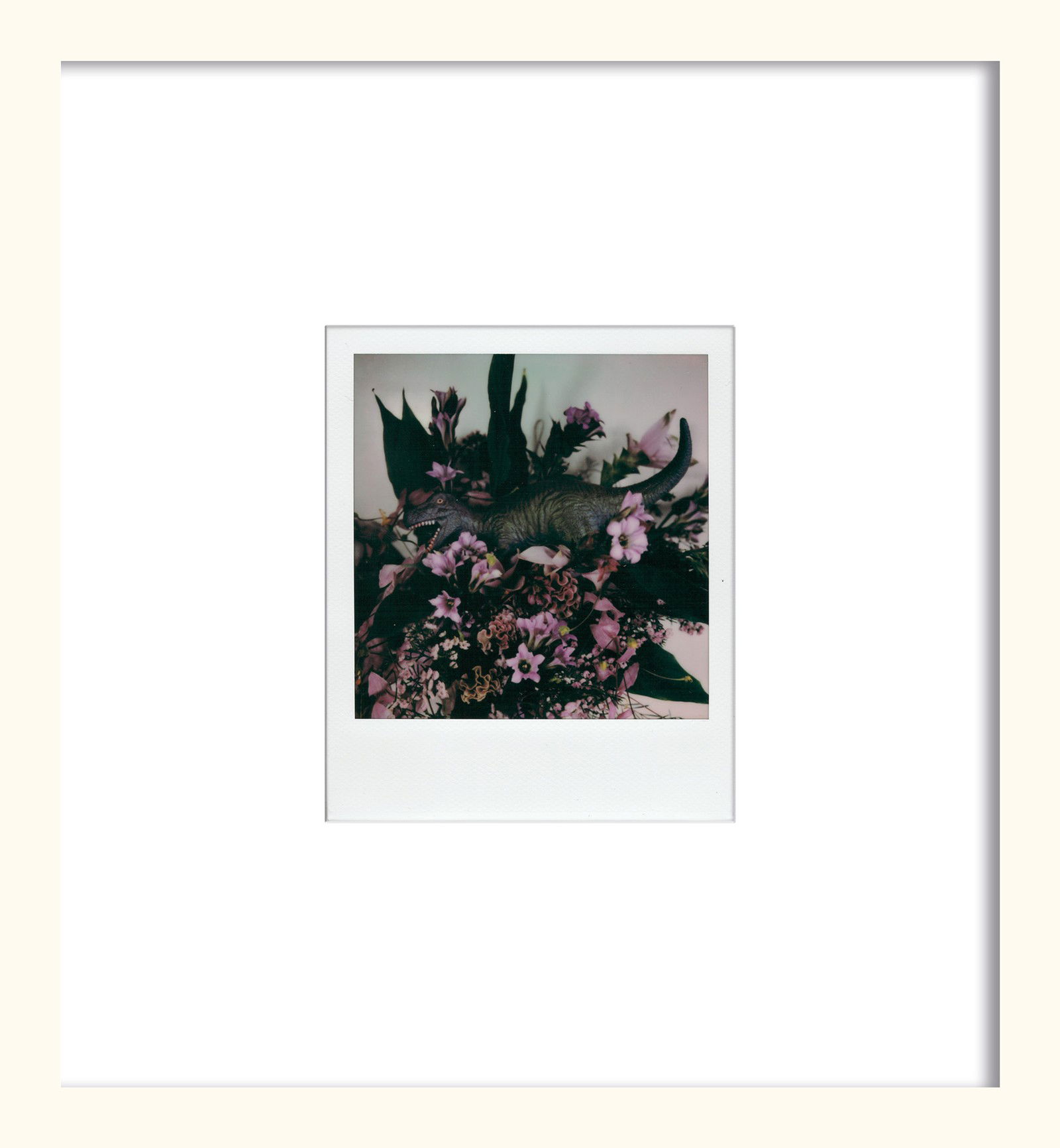 PARADISE by Nobuyoshi Araki - Unique Artwork
