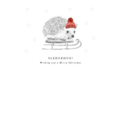 Sledghog Christmas