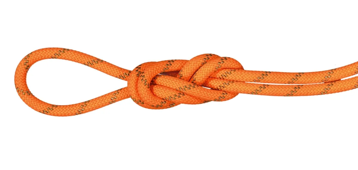 Mammut 8.0 Alpine Dry Rope Dry 70m Standard/Safety Orange/Boa
