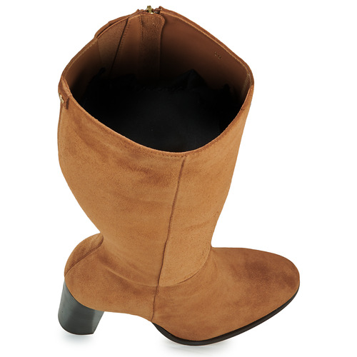 Fericelli - AMSONIA - Camel
